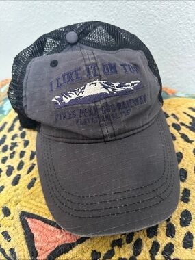 Gray Mesh Trucker Hat with Embroidered Mountain